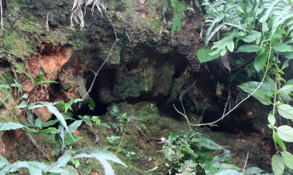 Căn hầm chứa 'kho báu' bí ẩn bậc nhất Việt Nam: Được cho là giấu cả tấn vàng của người phương Bắc, chưa ai vượt qua được cửa hầm