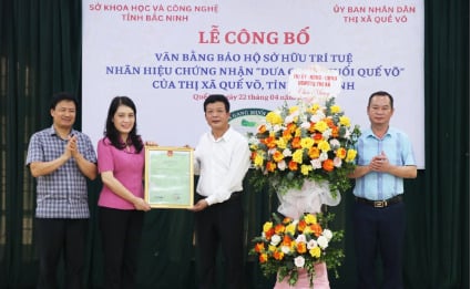 Bắc Ninh: 'Dưa gang muối Quế Võ' được chứng nhận bảo hộ nhãn hiệu