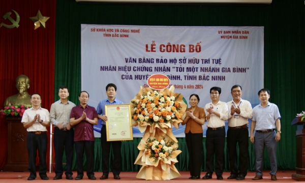 Bắc Ninh: Bảo hộ sở hữu trí tuệ cho sản phẩm Tỏi một nhánh Gia Bình
