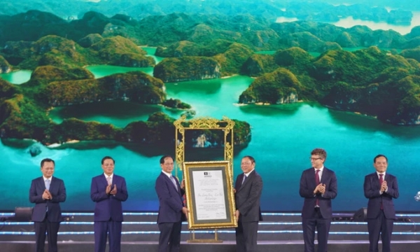 Di sản thiên nhiên thế giới liên tỉnh đầu tiên của Việt Nam vừa được công nhận: Sở hữu khu rừng trên biển 17.000ha, 7 hệ sinh thái