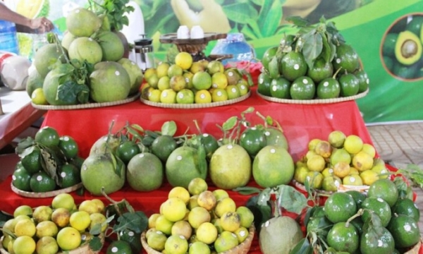 Hà Nội tổ chức Tuần lễ quảng bá nông sản cao cấp