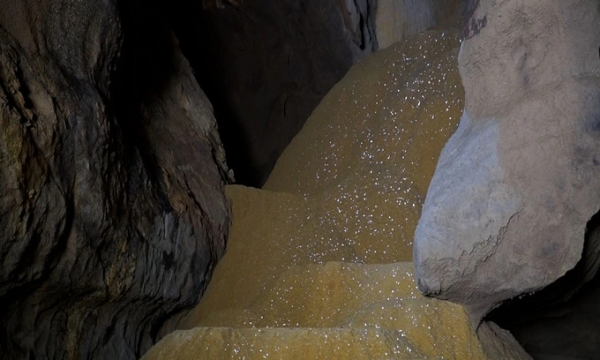 Việt Nam vừa phát hiện hang động có thạch nhũ vàng lấp lánh nằm trong khu bảo tồn 25.000ha