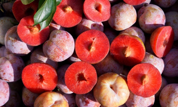 ‘Siêu trái cây’ mùa hè rất quen thuộc với người Việt, giúp ngăn ngừa được cả ung thư và bảo vệ mạch máu