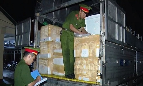 Thu giữ 13 tấn cá nóc hôi thối từ Nghệ An vào Quảng Bình tiêu thụ