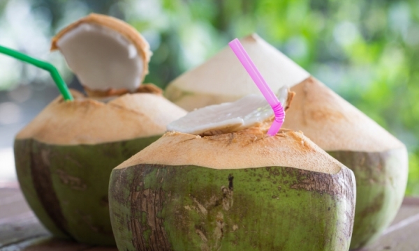 Dừa đang rẻ và chuyện gì sẽ xảy ra khi bạn uống nước dừa 1 tuần liền?