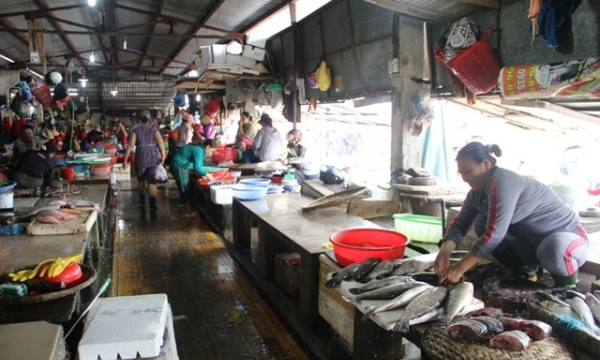 Cá tầng nổi “an toàn”, người tiêu dùng vẫn “né tránh” hải sản
