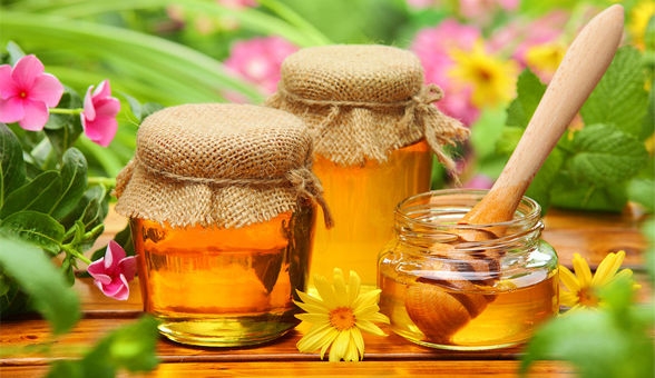Hơn 75% mật ong tại Mỹ là 'không phải mật ong chất lượng cao'
