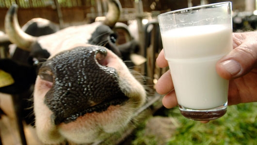 Để người tiêu dùng tiếp cận nhanh cảnh báo rủi ro về sữa tươi 
