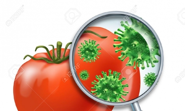 Sử dụng thực phẩm nhiễm khuẩn lâu dài ảnh hưởng cả cuộc đời