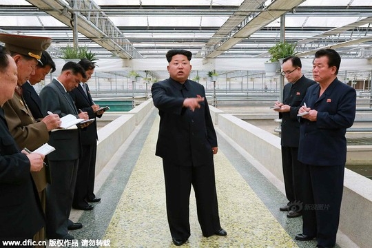 Kim Jong-un nổi giận vì trang trại rùa không nuôi được tôm hùm