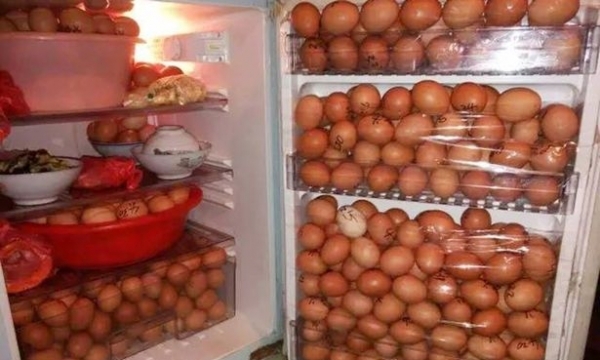 Nhân viên bảo vệ ăn trộm hơn 1.000 quả trứng gà của cơ quan 