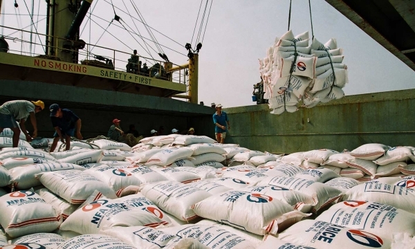 Dự báo nguồn cung gạo trên thế giới giảm khi nhu cầu tăng