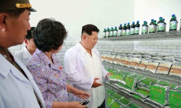 Khám phá 'thuốc chữa bách bệnh' do Triều Tiên xuất khẩu