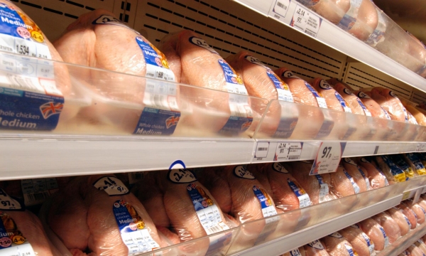 Ba phần tư gà tại Anh có chứa vi khuẩn gây ngộ độc