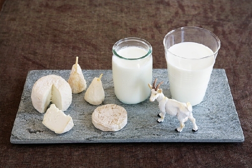 Sữa dê không đảm bảo chất lượng gây bệnh nặng cho người tiêu dùng