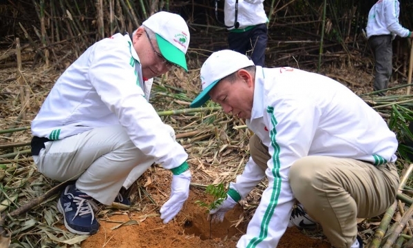 Dự án trồng rừng “Vì một Việt Nam xanh”