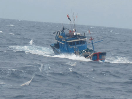 7 ngư dân mất tích trên biển Hoàng Sa