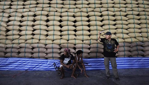 Bi kịch trợ giá gạo tại Thái Lan