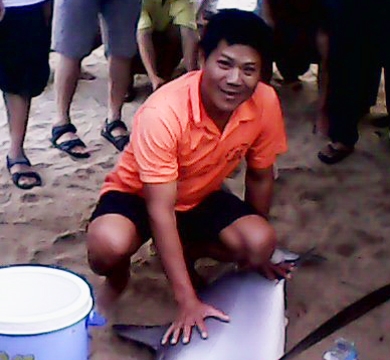 Cá mập gần 200 kg xuất hiện ở bãi biển Nha Trang