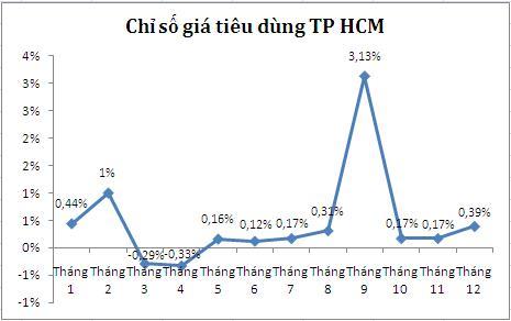 CPI TP HCM tăng 5,2% trong năm 2013