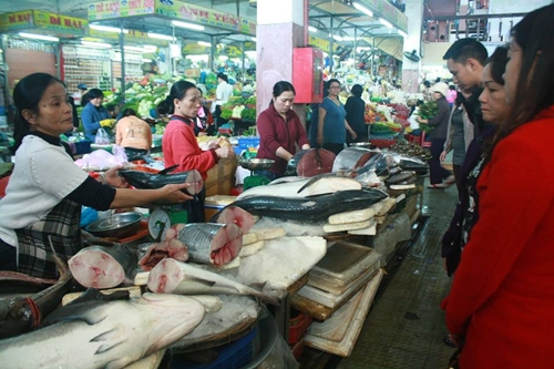 Giá thủy sản Đà Nẵng tăng gấp rưỡi