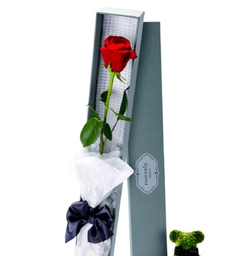 Hoa hồng chung thủy hút khách ngày Valentine