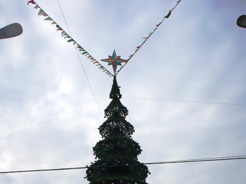 Ngắm cây thông Noel cao bằng tòa nhà 7 tầng