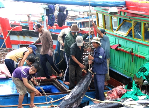 Ngư dân trúng đậm ‘lộc biển’ đầu năm