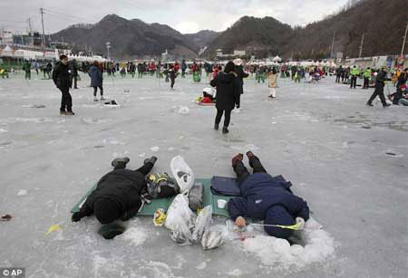 Người Hàn cắm mặt xuống băng để câu cá