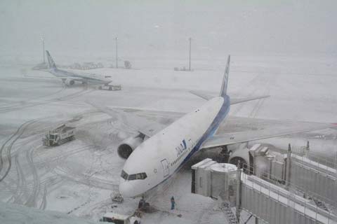 Nhật Bản tê liệt vì tuyết rơi nặng hạt