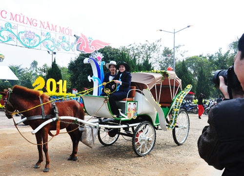 Tái hiện xe ngựa cổ 200 năm tại Quảng Ngãi