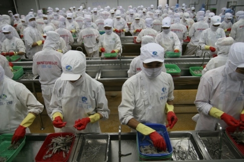 Thủy sản Minh Phú góp 3,9 tỷ đồng vào công ty liên kết