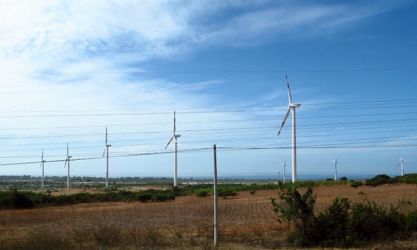 Việt Nam đang làm điện gió theo phong trào?