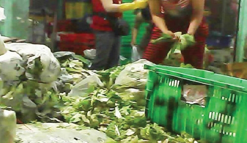 Sài Gòn: Chế rau phế thải thành đồ hộp thơm ngon