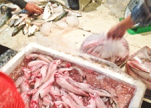 Lo ngại cá khoai ướp chất cấm