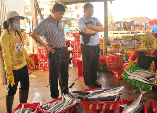 Thương lái Trung Quốc “lách luật” mua cua Việt: Cần thận trọng!