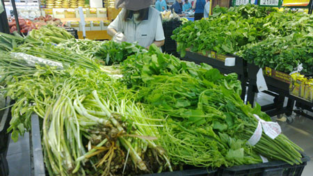 Hợp tác xã rau sạch ở Hà Nội trà trộn rau “bẩn” bán cho siêu thị