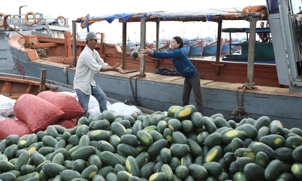 Xuất khẩu dưa hấu diễn ra thông suốt tại Tân Thanh