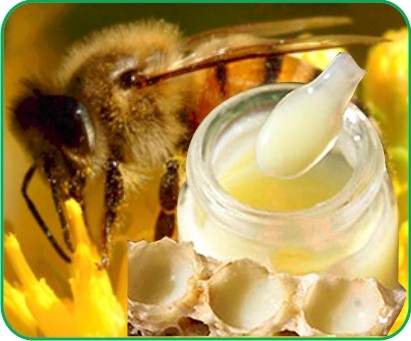 Làm thế nào để mua sữa ong chúa “xịn”?