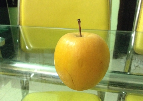 Trái táo để 9 tháng không hỏng