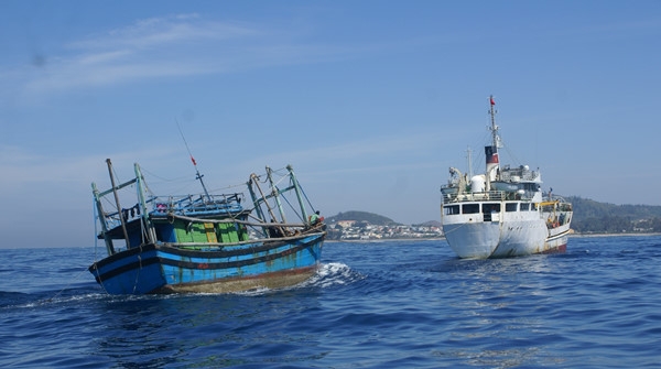 11 ngư dân trôi nổi trên vùng biển Hoàng Sa đã được cứu