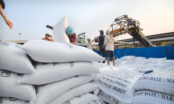 Xuất khẩu gạo Việt Nam cần “giảm lượng, tăng chất”