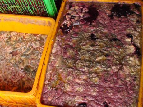 Phát hiện hơn 5 tấn nội tạng hôi thối tại Đồng Nai