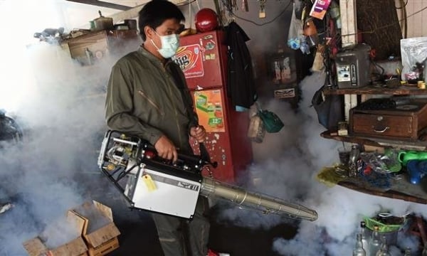 Thái Lan: Phát hiện 11 ca nhiễm mới, virus Zika sắp bùng phát?