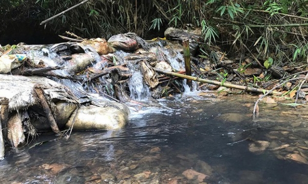 Khởi tố vụ án gây ô nhiễm nước sạch sông Đà