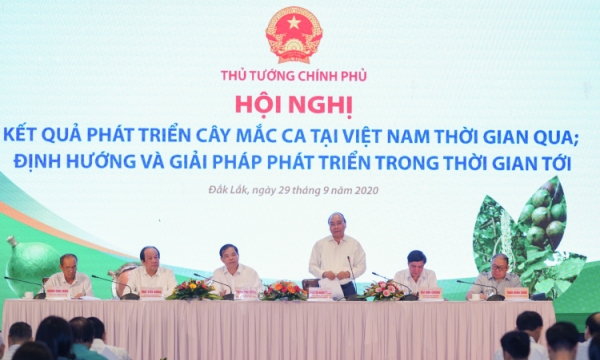 Thủ tướng Nguyễn Xuân Phúc chủ trì Hội nghị về phát triển cây mắc ca