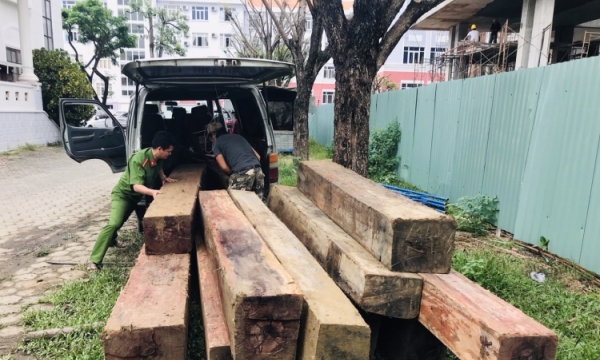 Quảng Nam: Phát hiện xe ô tô vận chuyển 12 phách gỗ lậu