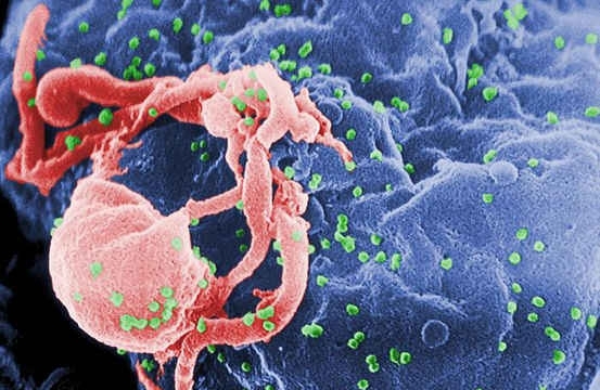 9 loại virut gây chết người đáng sợ nhất thế giới