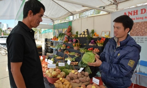 Nhận diện rau củ Trung Quốc trên thị trường 