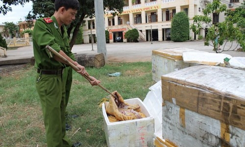 Bắc Ninh: Bắt giữ khoảng 500kg lòng lợn, da lợn thối